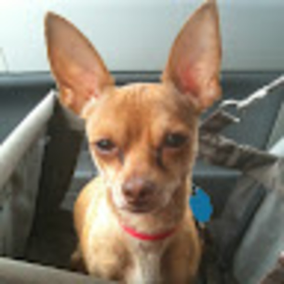 Meet your Posher, Josh - Picture 1 of 1